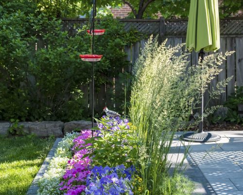 design and planting design and planting