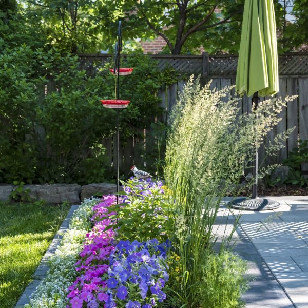 design and planting design and planting