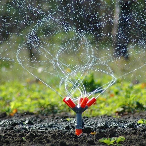 irrigation1 irrigation1