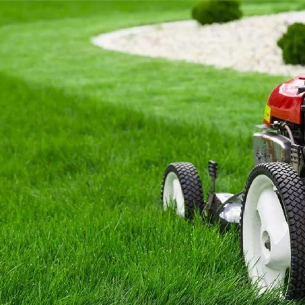 landscape maintenance landscape maintenance